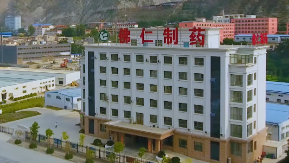 甘肃省副省长葛建团莅临尊龙凯时利来（002219）旗下佛仁制药考察调研